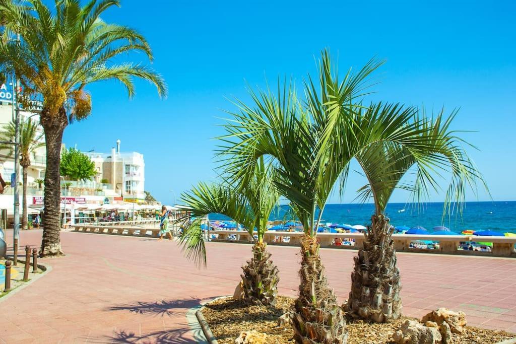 Al48 Near Leisure And Lloret * Lloret de Mar